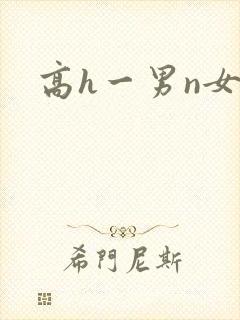高h一男n女文