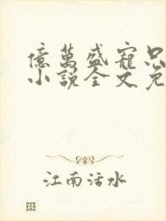 亿万盛宠只为你小说全文免费阅读