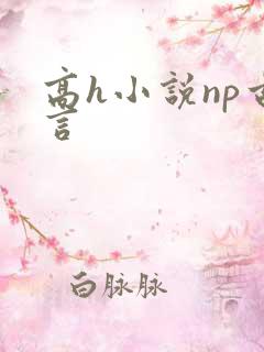 高h小说np古言