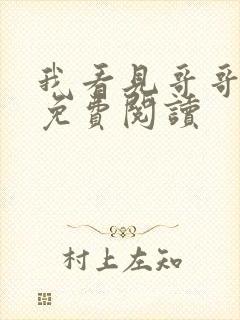 我看见哥哥全文免费阅读