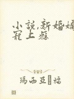 小说,新婚娇妻宠上瘾