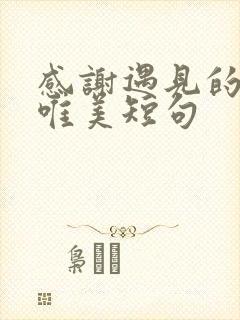 感谢遇见的句子唯美短句