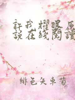 许我耀眼原著小说在线阅读