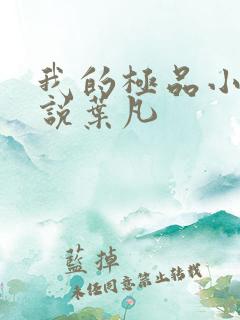 我的极品小姨小说叶凡