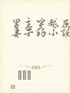 男主穿越原主有妻子的小说