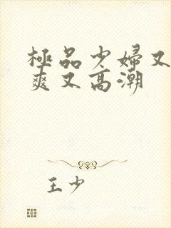 极品少妇又色又爽又高潮