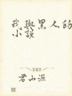 我与黑人的销魂小说