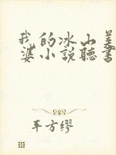 我的冰山美女老婆小说听书