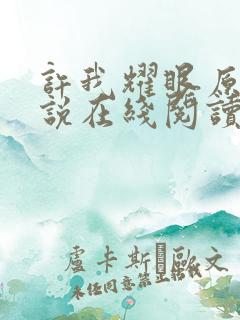 许我耀眼原著小说在线阅读