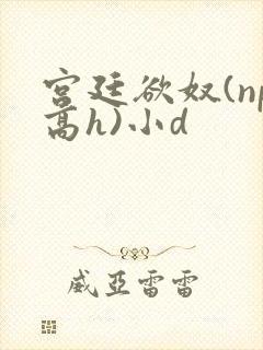 宫廷欲奴(np高h)小d