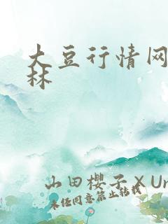 大豆行情网仙踪林