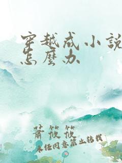 穿越成小说反派怎么办