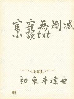 宦宠无删减原著小说txt