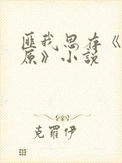 匪我思存《乐游原》小说