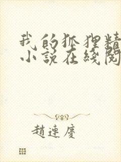 我的狐狸精后妈小说在线阅读