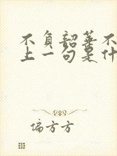 不负韶华不负卿上一句是什么