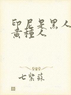 印尼是黑人还是黄种人