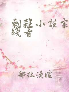 刺杀小说家2在线看