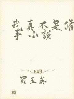 我真不是修仙高手 小说