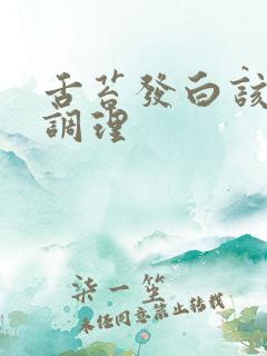 舌苔发白该怎么调理