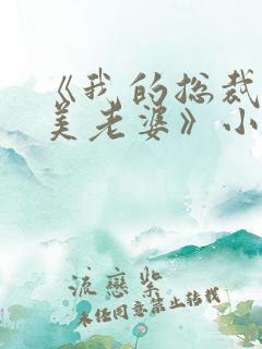 《我的总裁白富美老婆》小说