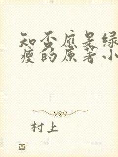 知否应是绿肥红瘦的原著小说