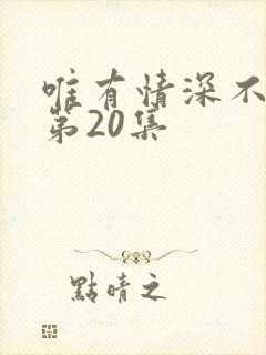 唯有情深不可负第20集