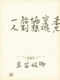 一胎俩宝老婆大人别想逃免费阅读