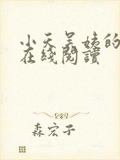 小天吴姨的小说在线阅读