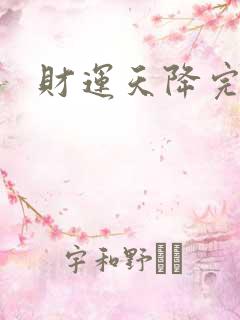 财运天降完结版