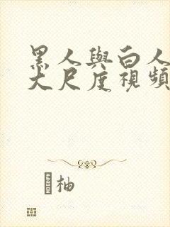 黑人与白人舌吻大尺度视频