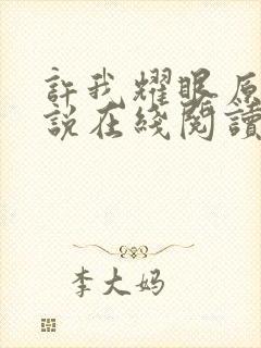 许我耀眼原著小说在线阅读