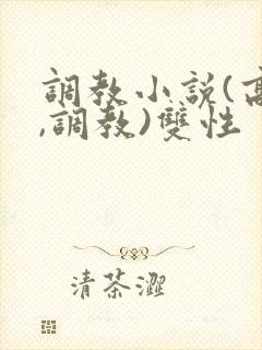 调教小说(高h,调教)双性