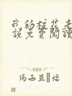 我的校花老婆小说免费阅读全文