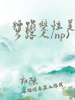糟蹋双性美人(多路人/np)
