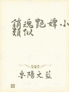 销魂艳婢小说相类似