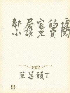 邻居家的傻妹妹小说免费阅读全文