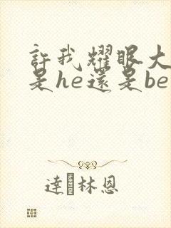 许我耀眼大结局是he还是be