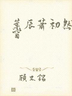 叶辰萧初然无弹窗