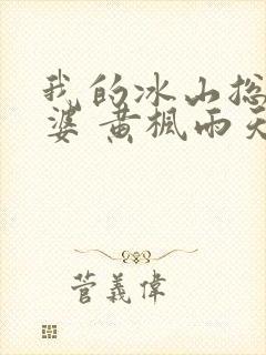 我的冰山总裁老婆 黄枫雨天