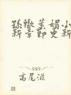 孙辙叶媚小说最新章节更新内容