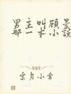 男主叫顾晨的是哪一本小说