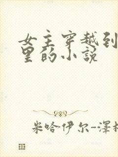 女主穿越到小说里的小说