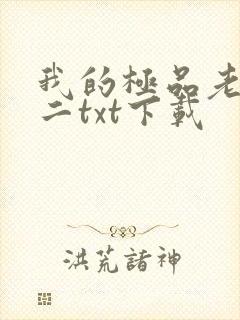 我的极品老婆小二txt下载