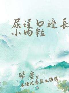 尿道口边长了个小肉粒