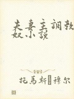 夫妻主调教夫妻奴小说