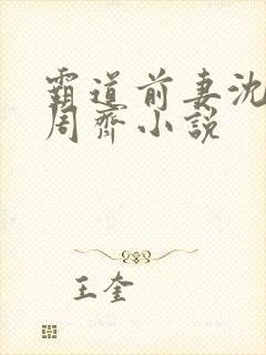 霸道前妻沈晚意周齐小说