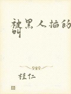 被黑人插的嗷嗷叫