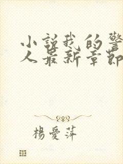 小说我的警花大人最新章节