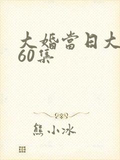 大婚当日大结局60集